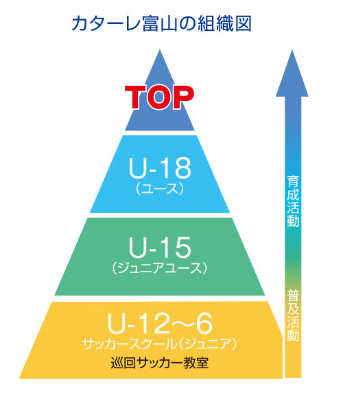 アカデミー組織図