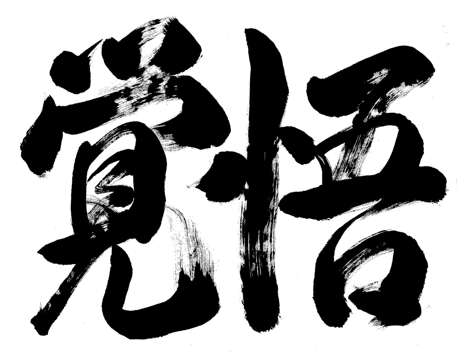 TEAM トップチーム カターレ富山公式ウェブサイト