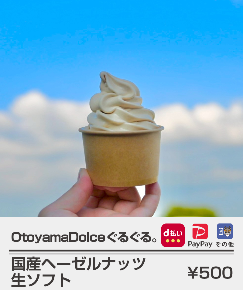 ぐるぐる_ヘーゼルナッツ生ソフト