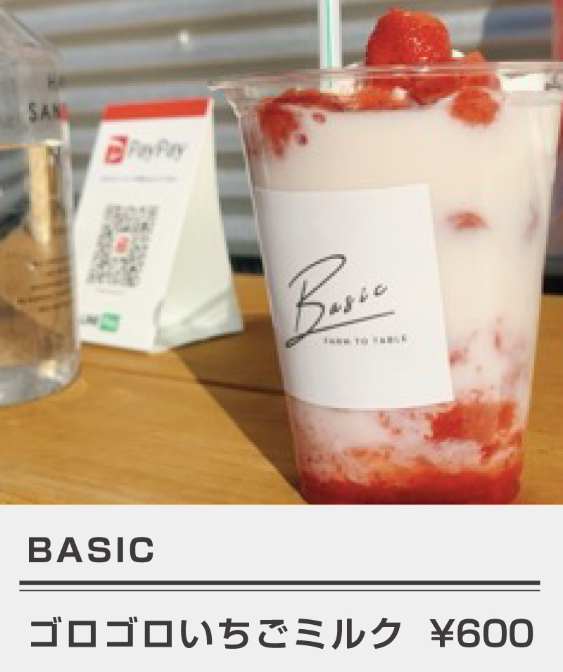 basic